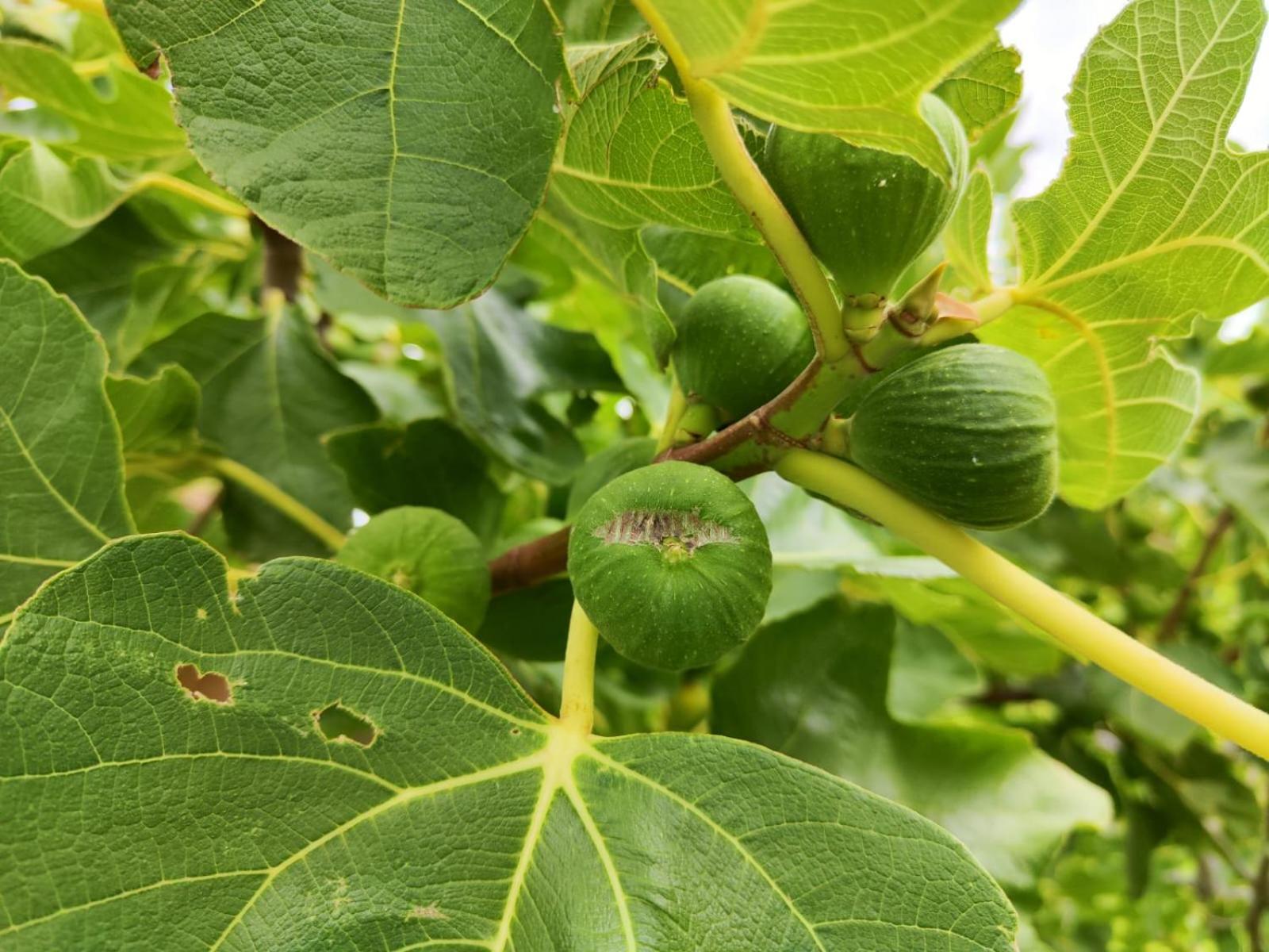 몬터규 Roodekloof 아파트 외부 사진